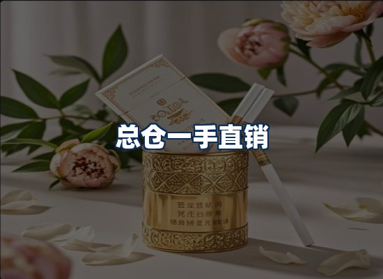 专业团队办公环境